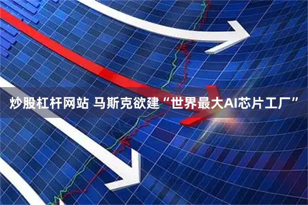 炒股杠杆网站 马斯克欲建“世界最大AI芯片工厂”